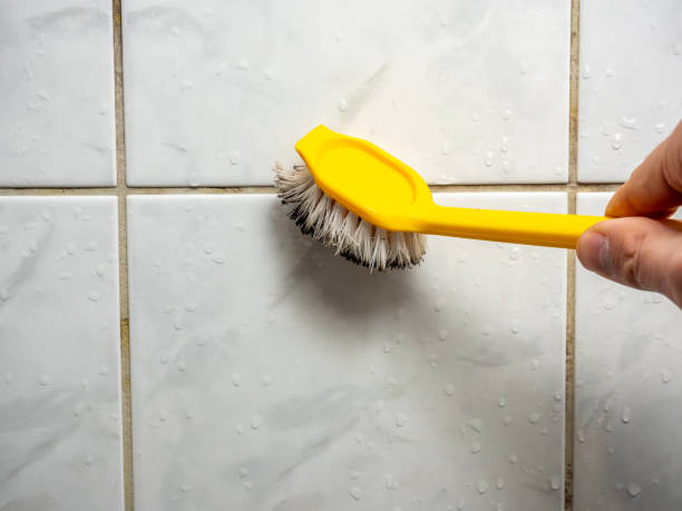 Best Professional Mold Removal  in Centerville, OH