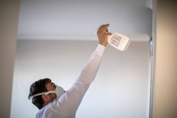 Best Local Mold Removal Service  in Centerville, OH