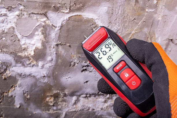Trusted Centerville, OH Mold Removal Experts