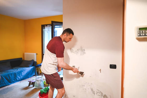 Best Office Mold Removal Services  in Centerville, OH