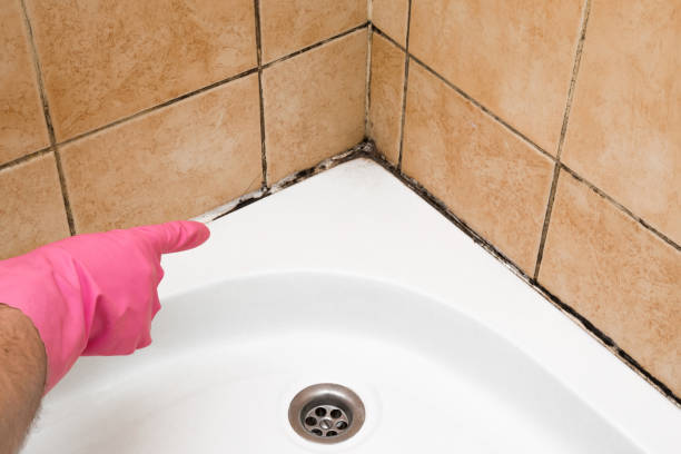Best Residential Mold Removal  in Centerville, OH